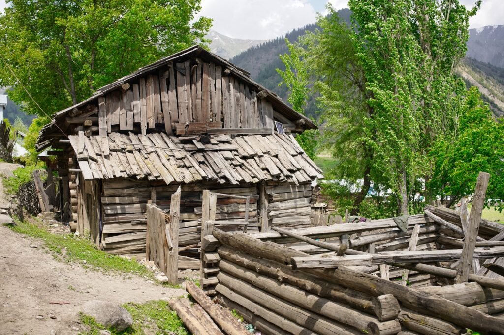 J&K Forest Minister directs time-bound targets for timber operations