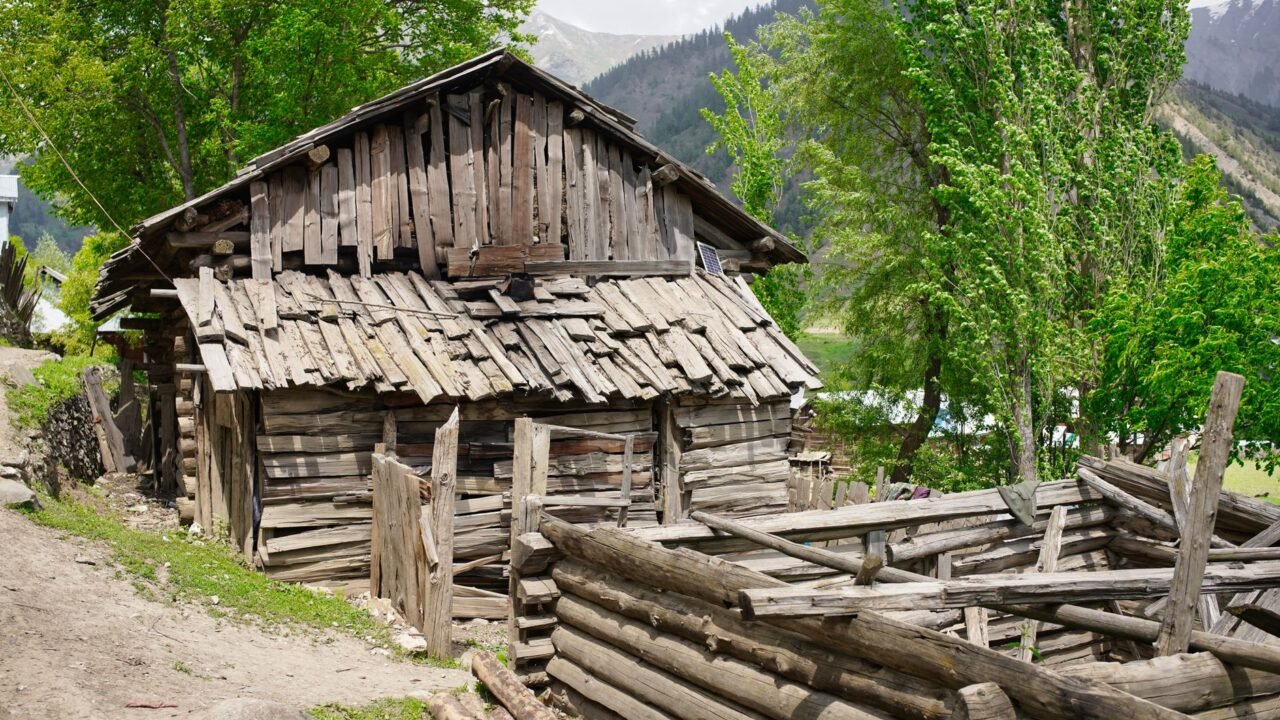 J&K Forest Minister Demands Time-Bound Timber Operations