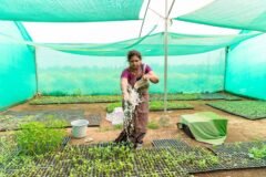 J&K notifies Compressed Bio-Gas Policy 2026