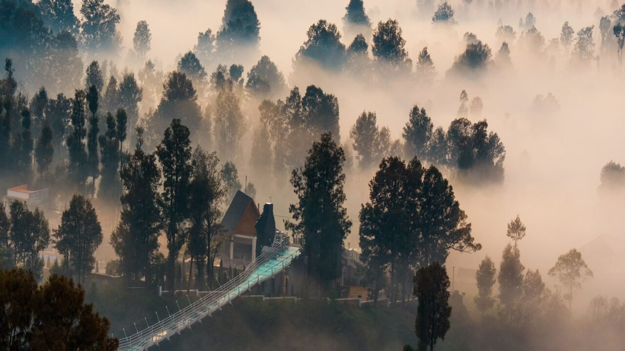 Indonesian Protests Erupt Over Devastating Rainforest Fires and Haze