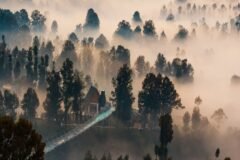 Protests in Indonesia Demand Action to Stop Rainforest Fires