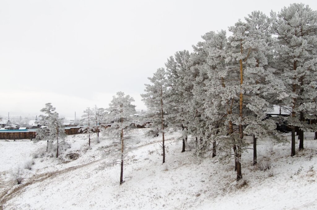 Russia Moves to Tamp Down Rumors About Plague Outbreak in Siberia