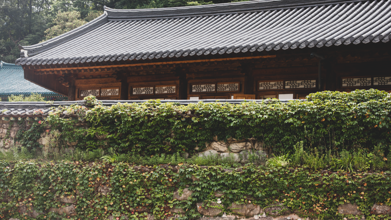 Korea’s Border Tensions Reignited by Landmine Dispute Legacy