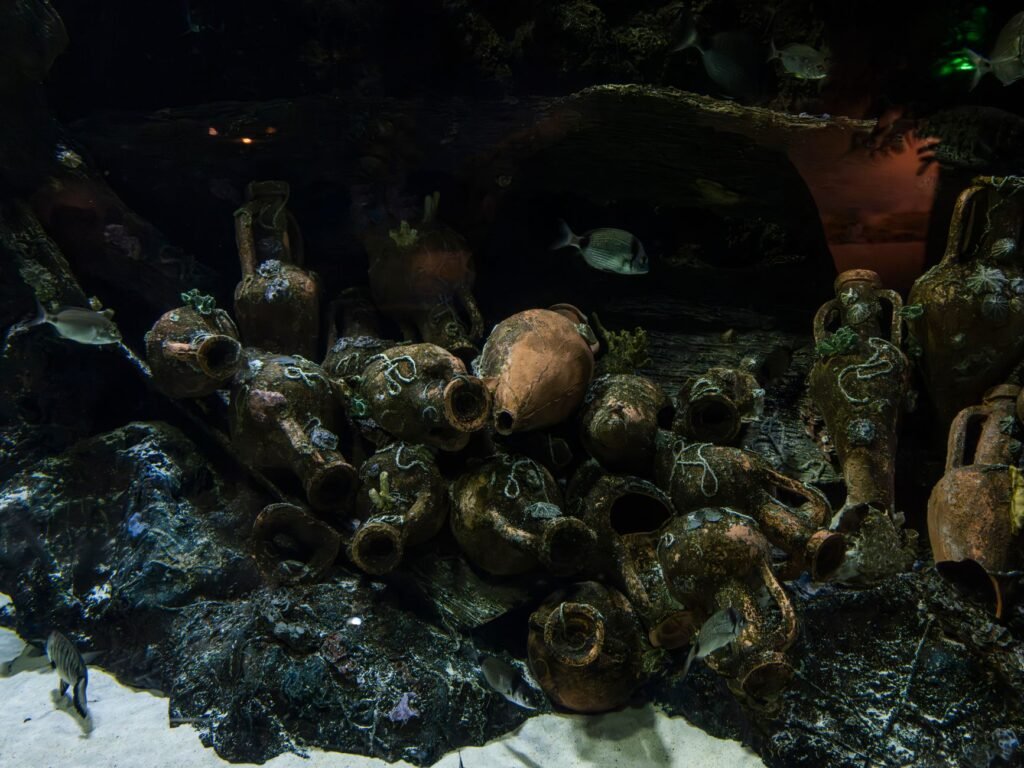 The World’s Oldest Shipwreck? Maybe, but ‘We’re All Excited by Maybe.’