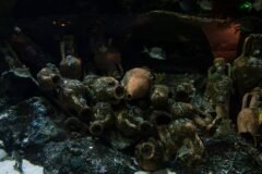 The World’s Oldest Shipwreck? Maybe, but ‘We’re All Excited by Maybe.’