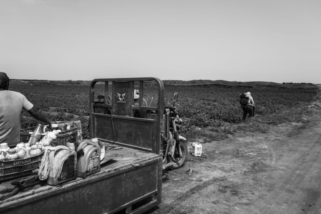 They Came to Russia for Work. Now They Are Under Fire.