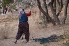 U.S. Officials Condemn West Bank Attacks as Netanyahu Casts Doubt on Them