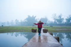 Why Chinese College Grads Are Becoming Farmers