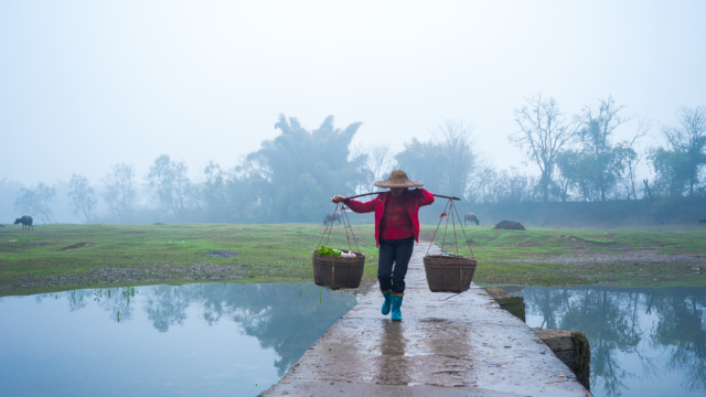Why Chinese College Grads Are Becoming Farmers